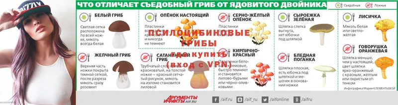 Галлюциногенные грибы Cubensis  Волгореченск 